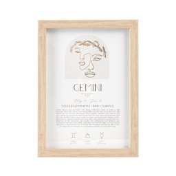 [MYS205] Mystique Framed Print Gemini