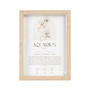 Mystique Framed Print Aquarius