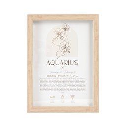 [MYS201] Mystique Framed Print Aquarius