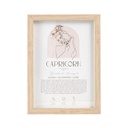 Mystique Framed Print Capricorn