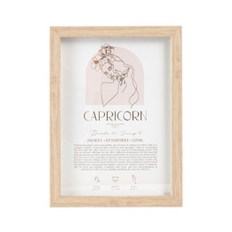 [MYS212] Mystique Framed Print Capricorn