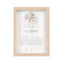 Mystique Framed Print Scorpio