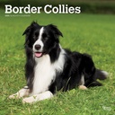 Border Collies 2025 Square Calendar