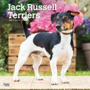 Jack Russell Terriers 2025 Square Calendar