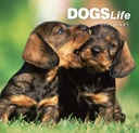 Dogs Life WTV 2025 Diary
