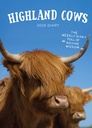 Highland Cows 2025 WTV Diary