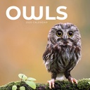 Owls 2025 Calendar