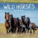Our Australia - Wild Horses: The Brumby 2025 Calendar