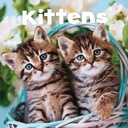 Kittens 2025 Calendar