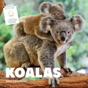 Koalas 2025 Calendar