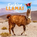 Fashion Llamas 2025 Calendar