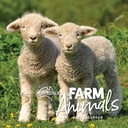 Our Australia - Farm Animals 2025 Calendar