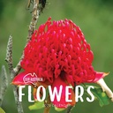 Our Australia - Flowers 2025 Calendar