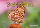 Big Print Butterflies 2025 Calendar