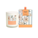 Sparkling Lychee - Standard Candle - Palm Beach Collection