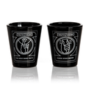 Truth or Drink Game - Shot Glasses