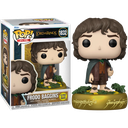 The Lord of the Rings - Frodo Baggins (Glow in the Dark) Funko Pop! Plus Vinyl Figure #1832