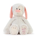 Demdaco - Best Big Sister Dog 16" Plush