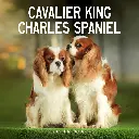Paper Pocket Cavalier King Charles Spaniel 2026 Calendar