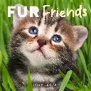 Paper Pocket Fur Friends 2026 Calendar