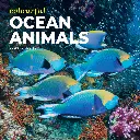 Paper Pocket Colourful Ocean Animals 2026 Calendar