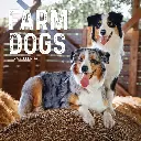 Paper Pocket Farm Dogs 2026 Calendar