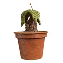 Harry Potter: Potted Mandrake Ornament with Sound - 2025 Hallmark Keepsake Christmas Ornament