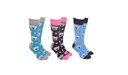 Sock Society - Koala Heart