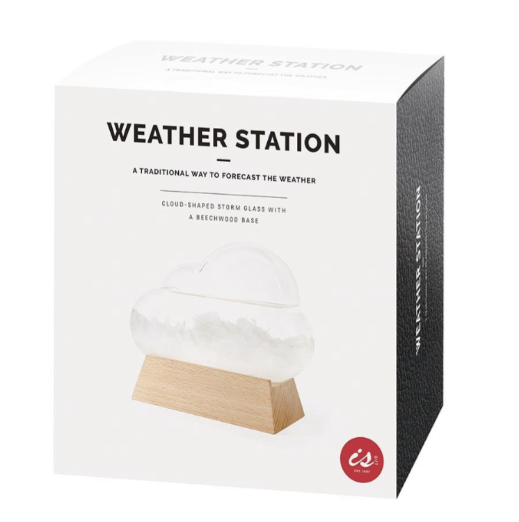 [88061] Cloud Weather Station