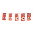 NRL St. George Illawarra Dragons Bunting Flags