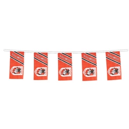 [NRL489GD] NRL St. George Illawarra Dragons Bunting Flags